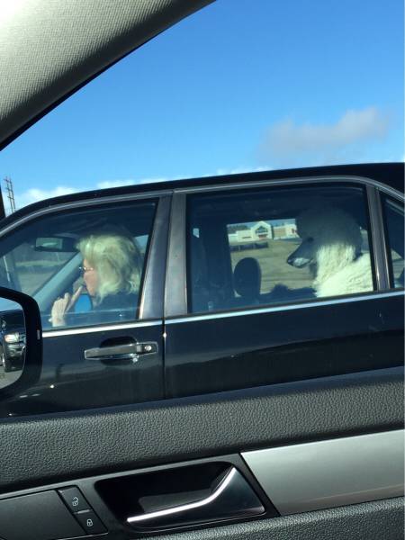 Morning Picdump
