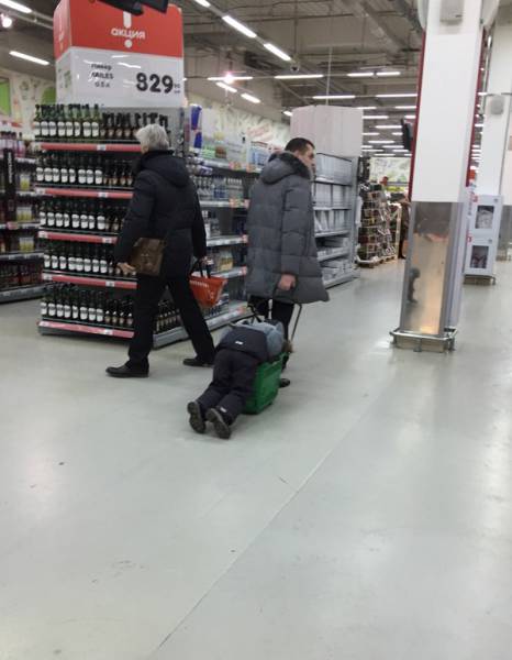 Morning Picdump