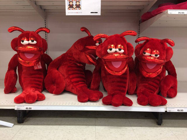 Morning Picdump