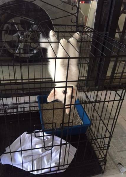 Morning Picdump