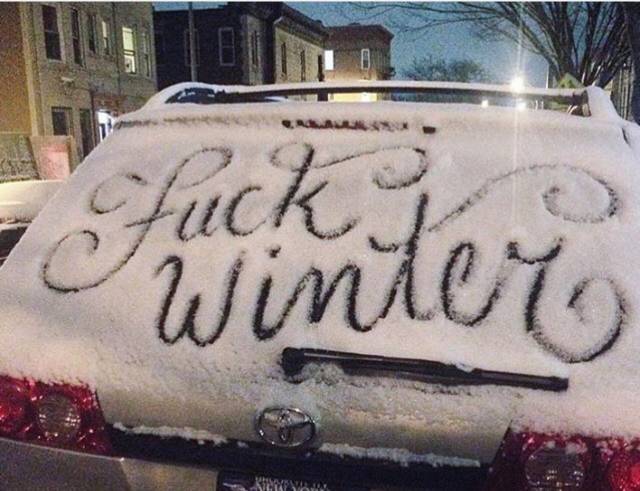Morning Picdump