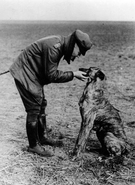 Jaw-Dropping Moments In History Captured On Camera