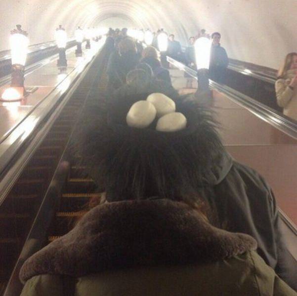 Content Image
