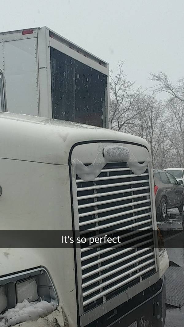 Morning Picdump