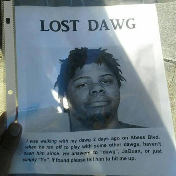 Content Image