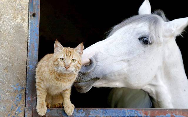 Daily Picdump