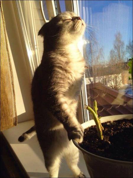 Daily Picdump