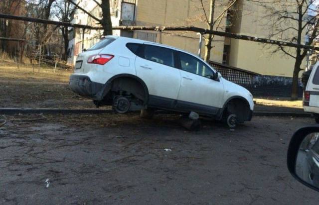 Daily Picdump