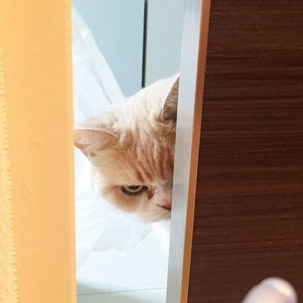 Daily Picdump