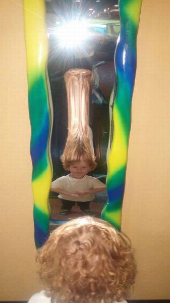 Daily Picdump