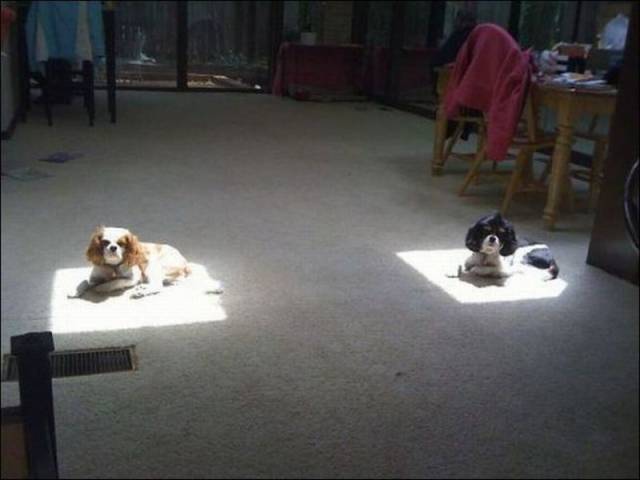 Daily Picdump