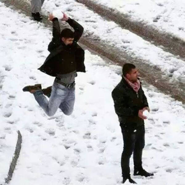 Morning Picdump