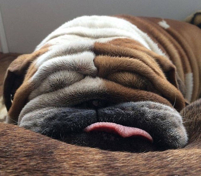 Morning Picdump