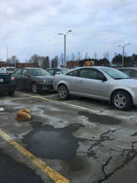 Morning Picdump