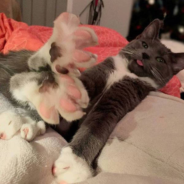 Morning Picdump