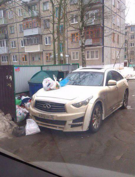 Morning Picdump