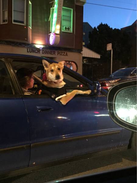 Content Image