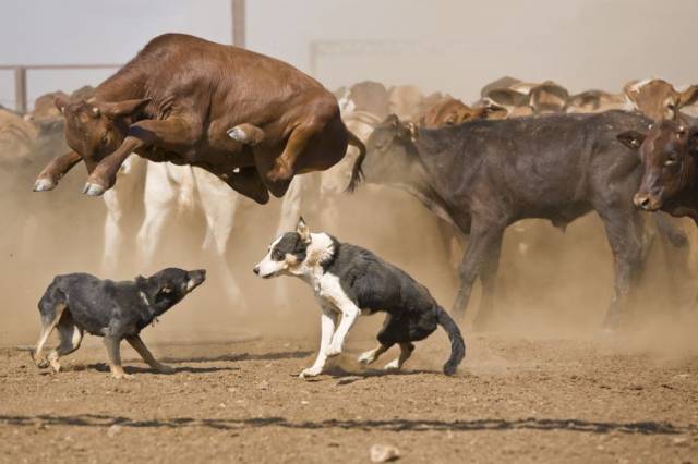 Morning Picdump