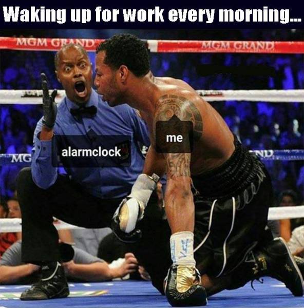 Funny Picdump