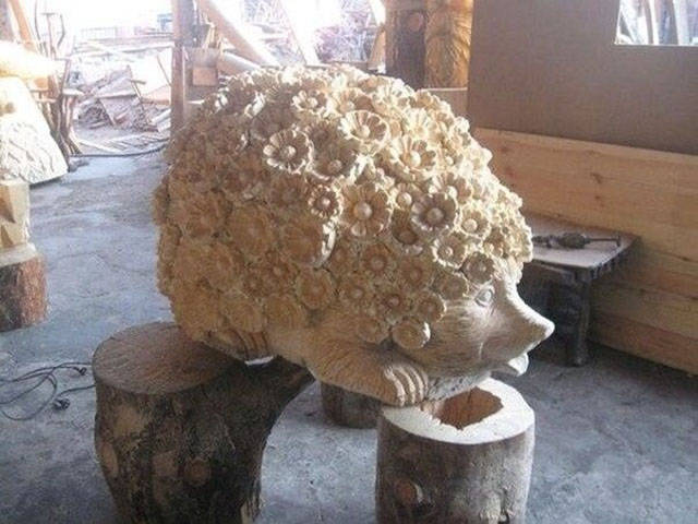 Morning Picdump