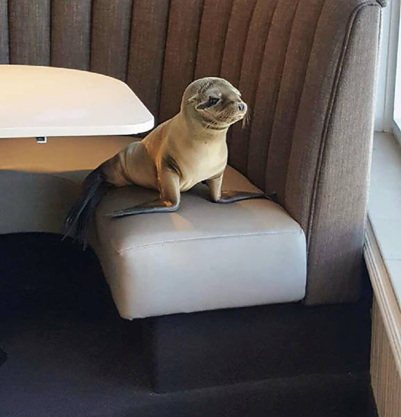 Morning Picdump