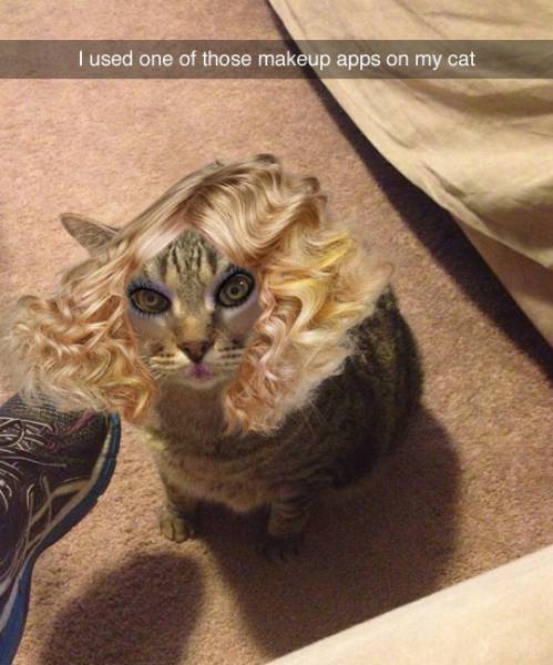 Funny Picdump