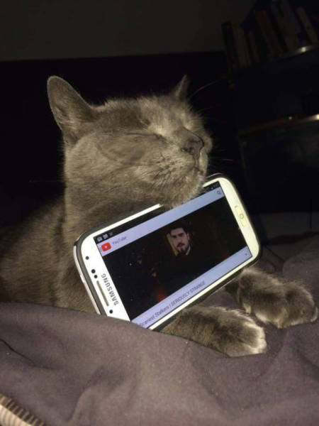 Funny Picdump