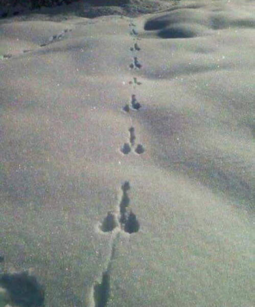 Funny Picdump
