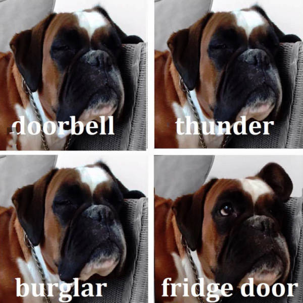 Funny Picdump