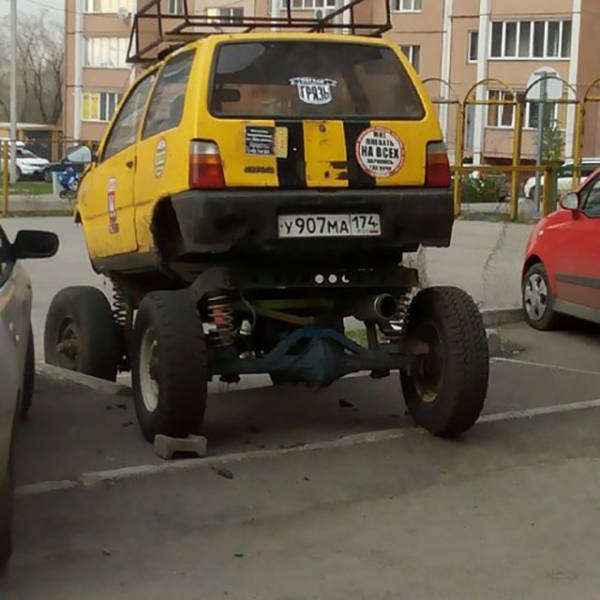 Morning Picdump