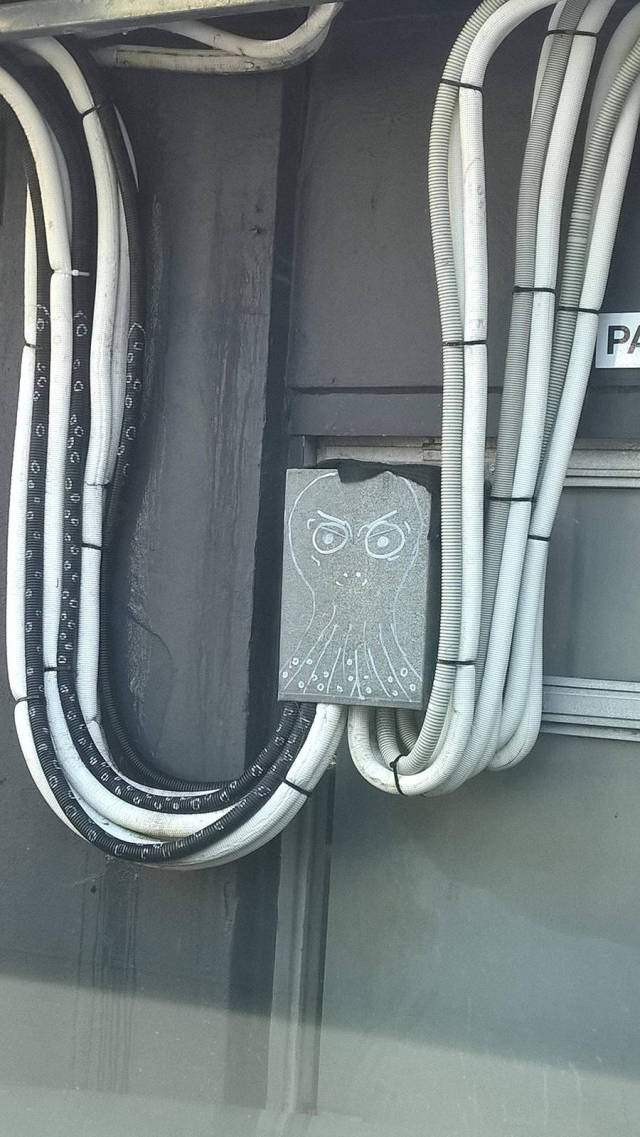 Morning Picdump