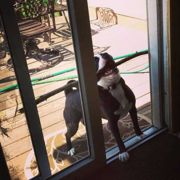 Morning Picdump