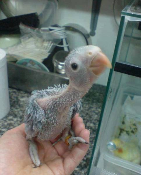 Morning Picdump
