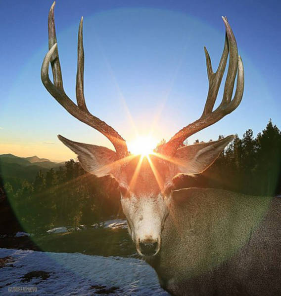 Fascinating Photos That Speak For Themselves