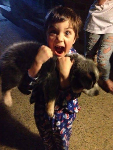 Fascinating Photos That Speak For Themselves