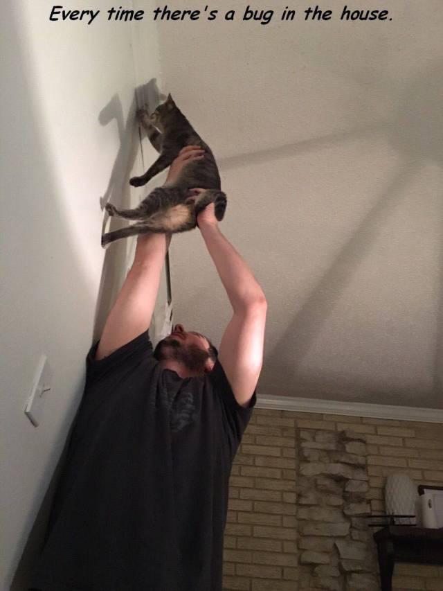 Content Image