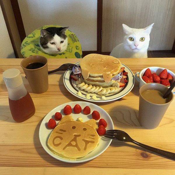Daily Picdump