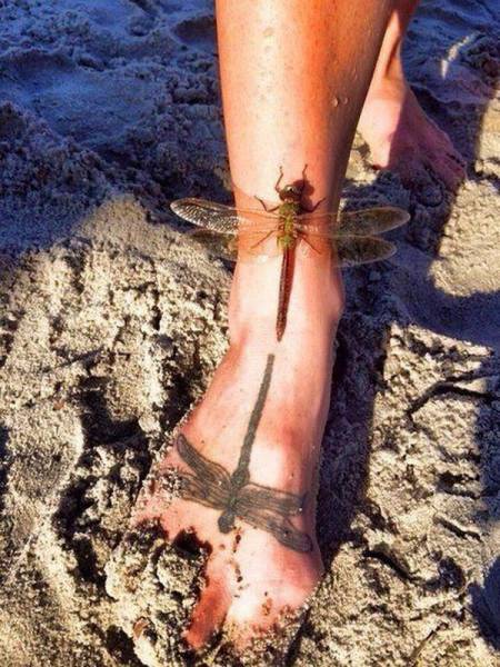 Daily Picdump