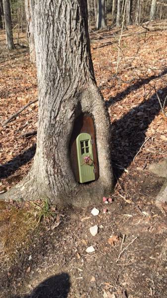 Morning Picdump