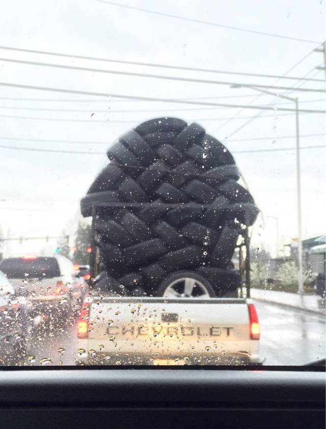 Morning Picdump
