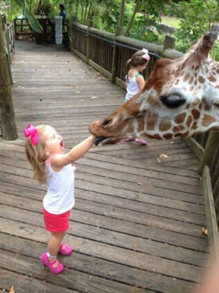 Daily Picdump