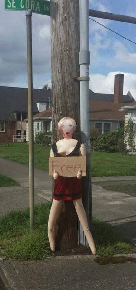 Content Image