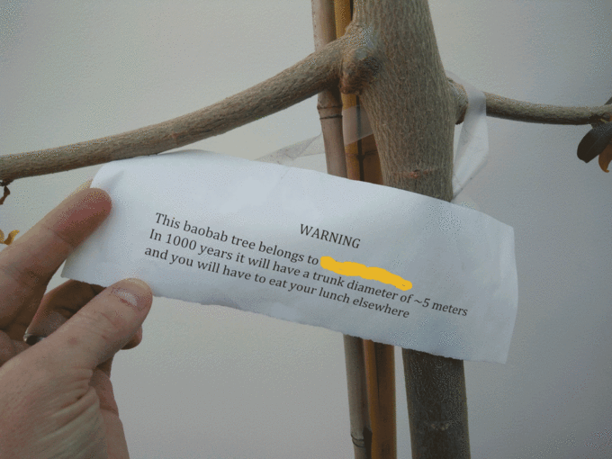 Morning Picdump