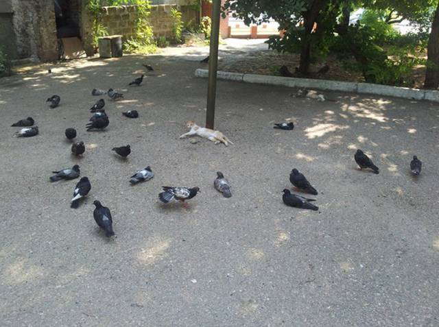 Morning Picdump