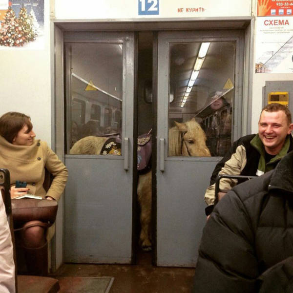 Morning Picdump
