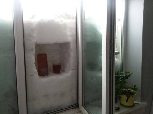 Morning Picdump