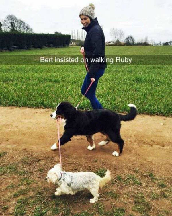 Morning Picdump