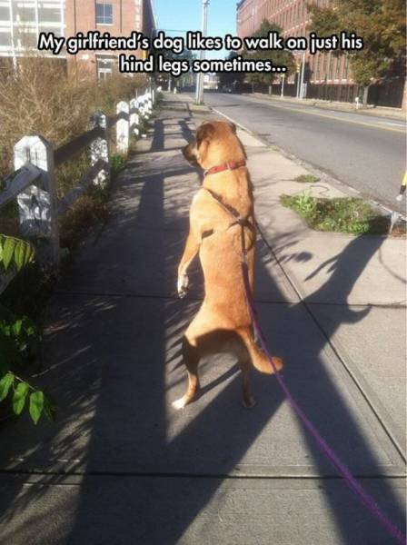 Daily Picdump