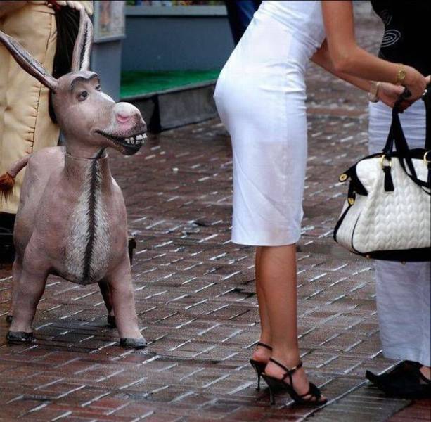 Daily Picdump