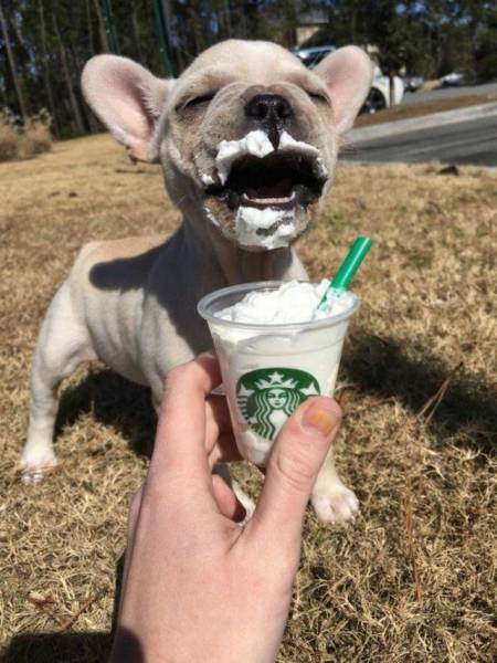 Daily Picdump